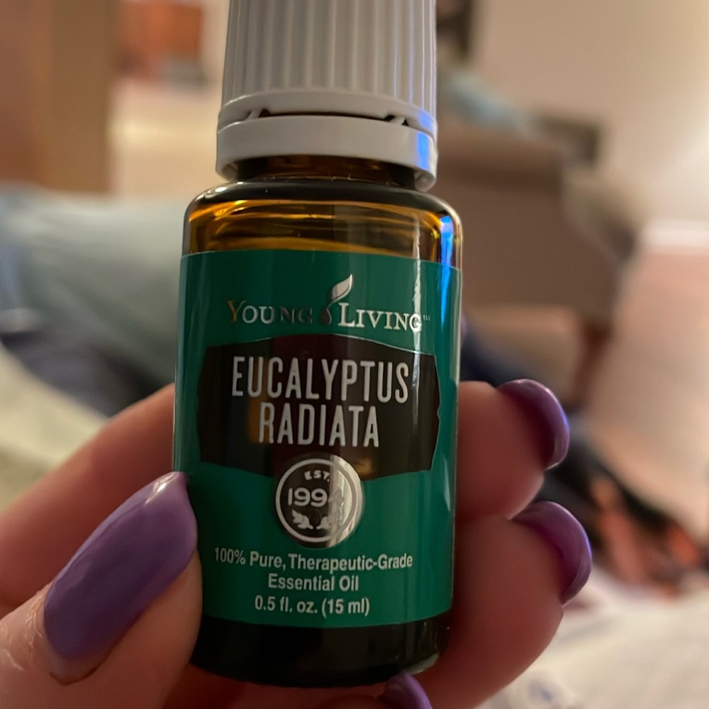 NEW EUCALYPTUS RADIATA 15ml
